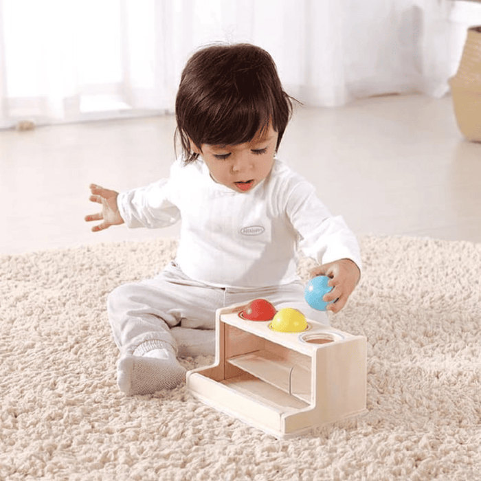 Box Giochi Montessori 11-12 Mesi